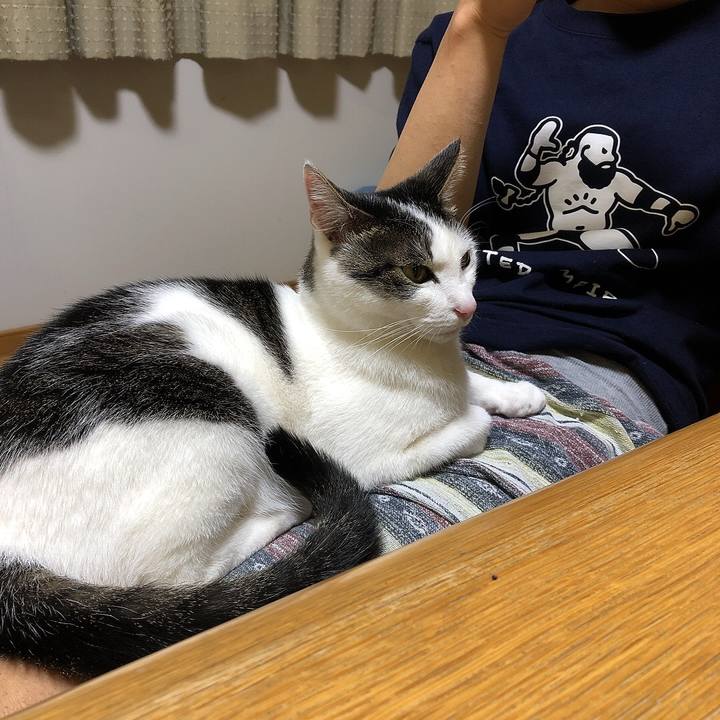 30695dc3 3715 4ee1 b32b de51fd50048b 1651665595039