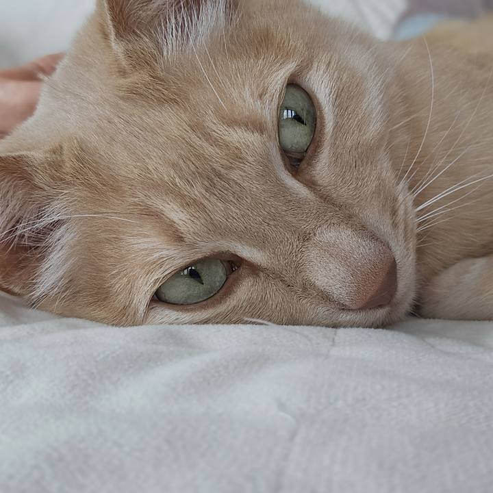 30697487 0768 4f13 804d 5103fa318564 1772941918447