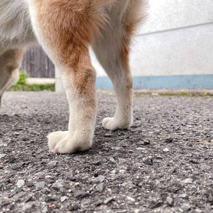 3069892f 07b1 4a95 9b71 7dd1b60fa7d5 1763454120377