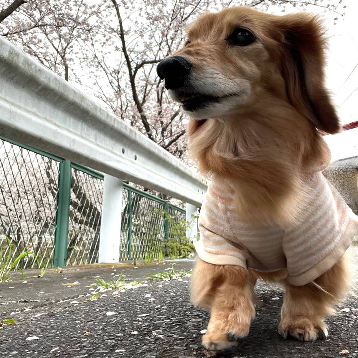 3069acfc 0a4f 4fc0 8917 ab966820d5d6 1680262102855