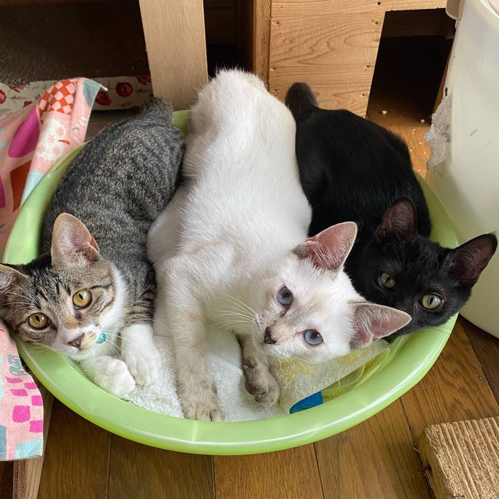 3069e639 455e 4b6a 93ae 652ae01346ab 1629681990777