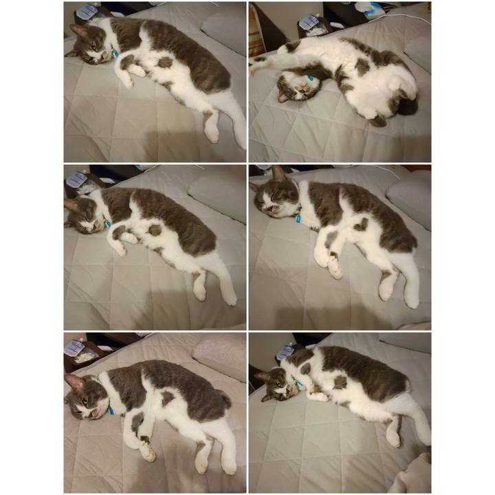 306a0ee6 c2e0 493b b6fa 308fec2c3335 1685749867147