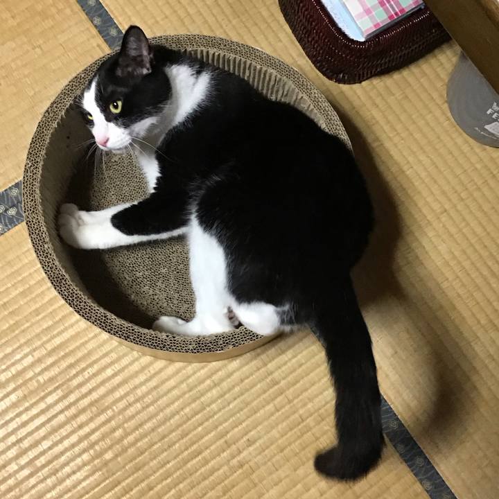 306a2ada 8eea 415c b6de 5da2c401f781 1721119767684