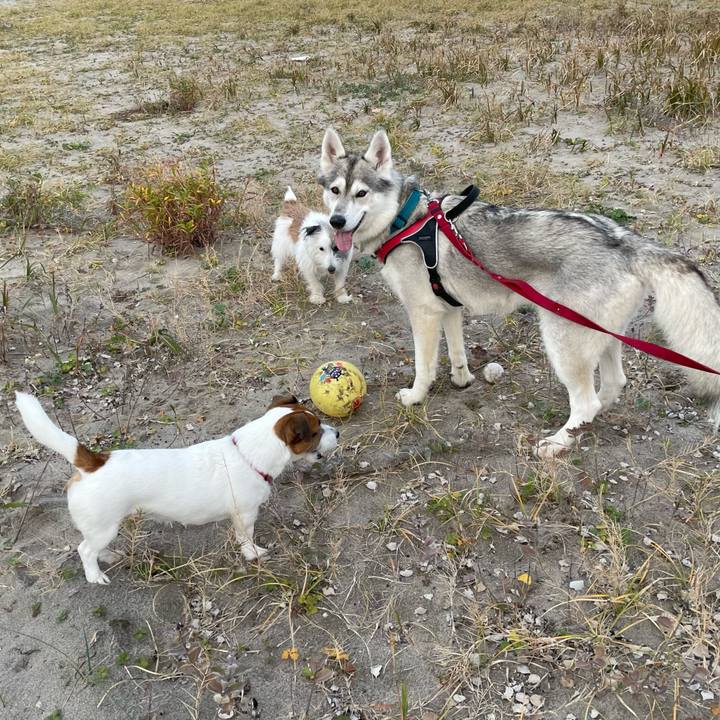 306af401 d3c3 424e a7ce 3dbc76849952 1731629403989