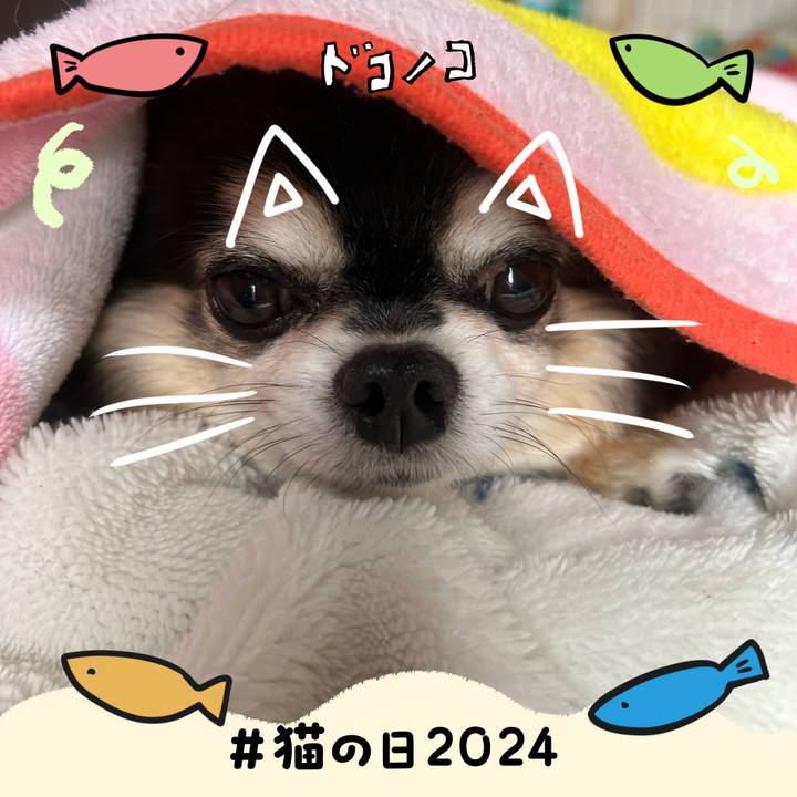 306af4a8 d076 4289 8ab6 8c20b8cf0ae3 1708546503060