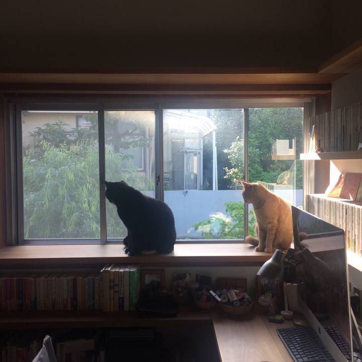 306aff3e f8d4 4b2d 8b80 ebdf27cbf381 1525563119600