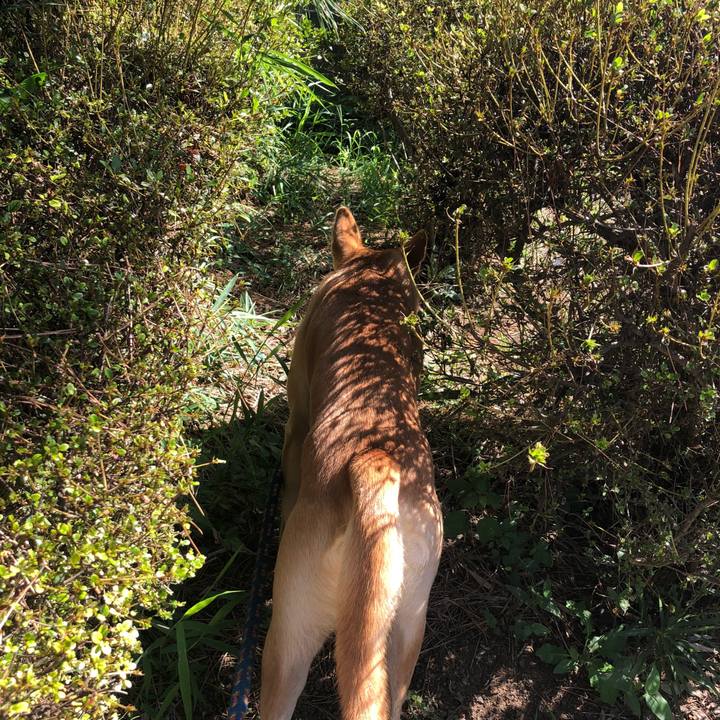 306b18f4 4a37 4df2 9d96 736b9885ae43 1536472159914