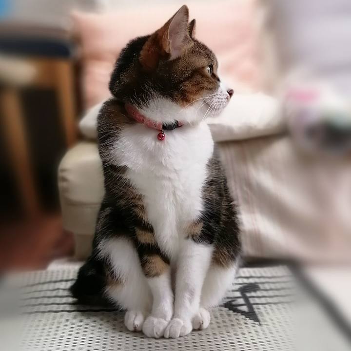 306b1d78 381e 4f3f 9e71 15a610a0823f 1601178499060