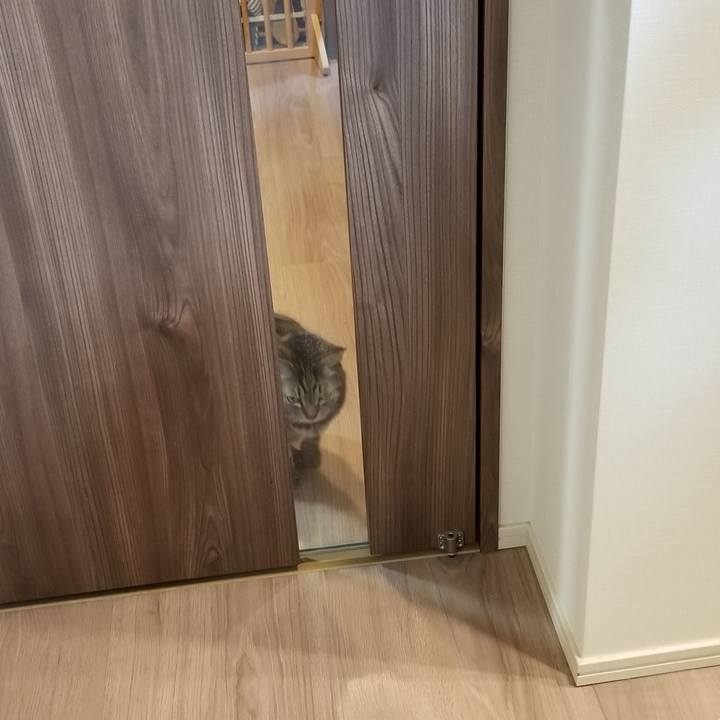 306bae2a 5d19 46dc a326 003d5e0459dd 1607636571437