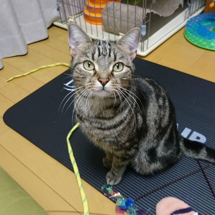 306bdbc1 4b9b 456c b11a b8a3e7161b07 1514629465553