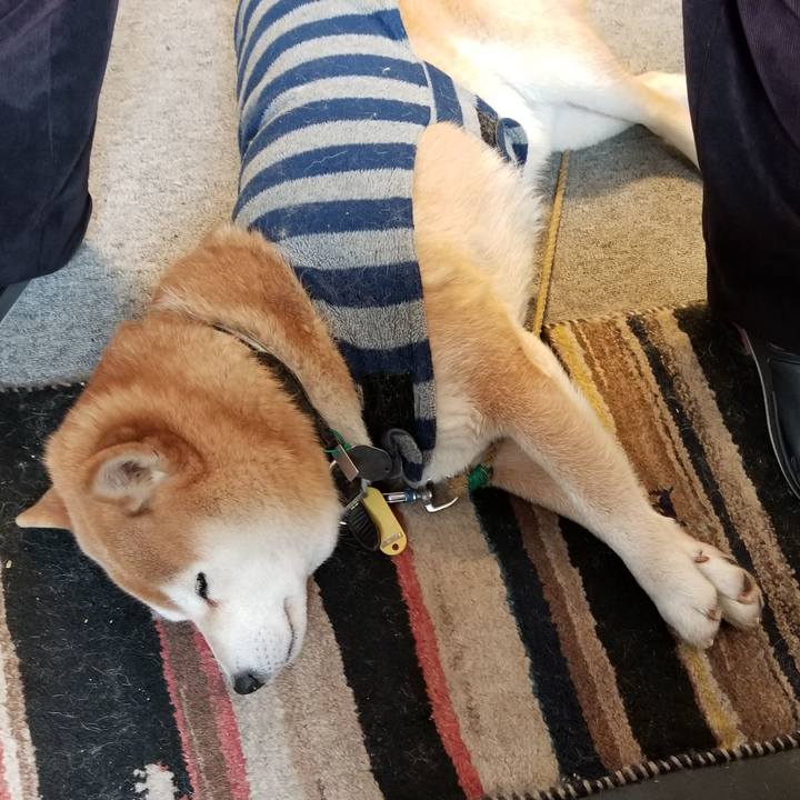 306be012 5cfb 4229 a5dd 45780096af3e 1610667876932