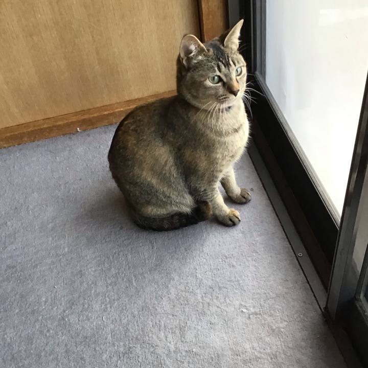 306bf774 637d 4b0f 9ad0 11b41146b043 1584664775764