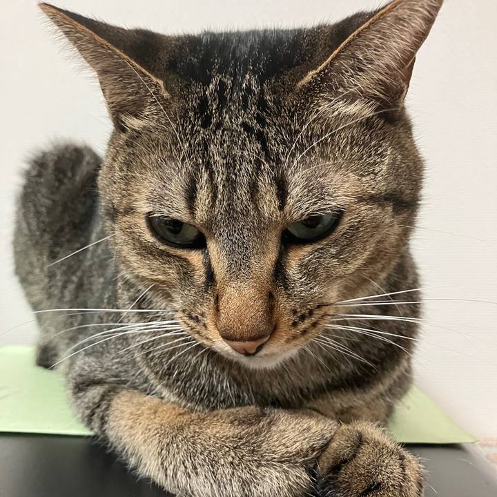 306c2ea4 85f0 4128 95d5 fcc617ad1a91 1759359951874