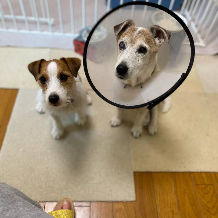 306c4135 20b7 4876 8479 cfffc9190a19 1668212820668