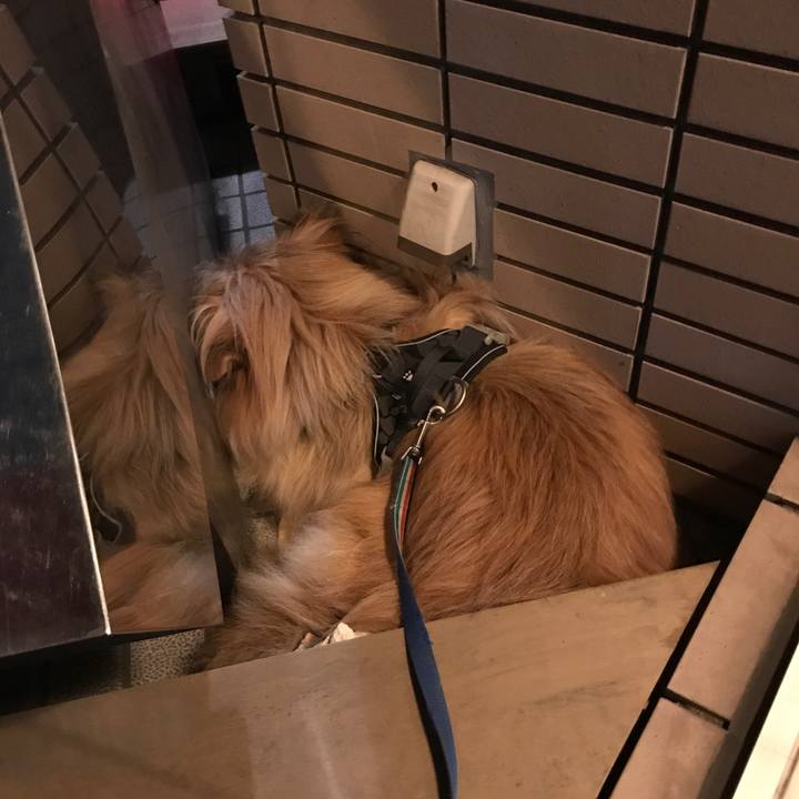 306c66e9 9c42 4db7 a666 ecf2e0df5bc2 1652635474384