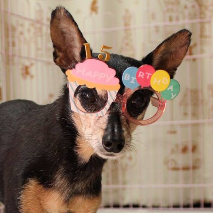 306cd7ed 2c4c 42e2 84ca 2301503b1551 1677463561540