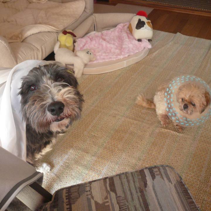 306cfa7d d101 4b09 93f9 8ff8ea2f3039 1524041857756