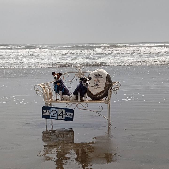 306d1f16 b275 4cea a579 070ec3d334d4 1711276751634