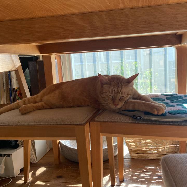 306d375a 36f6 40f3 93a9 ac01626f4829 1763640734183