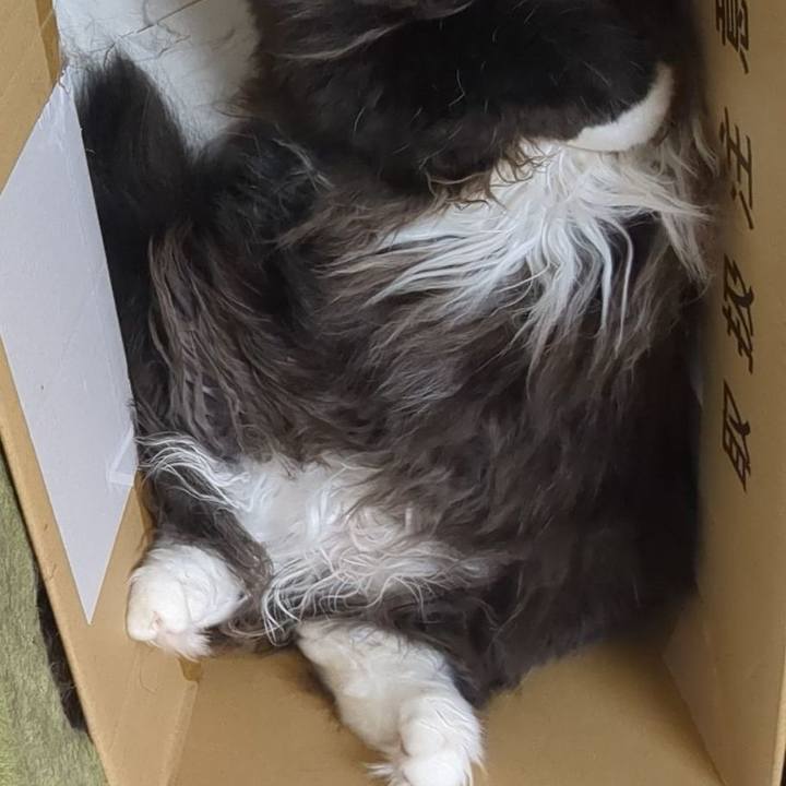 306d46c3 bc31 4ed8 9ac3 9cd3661bda1e 1752009034881