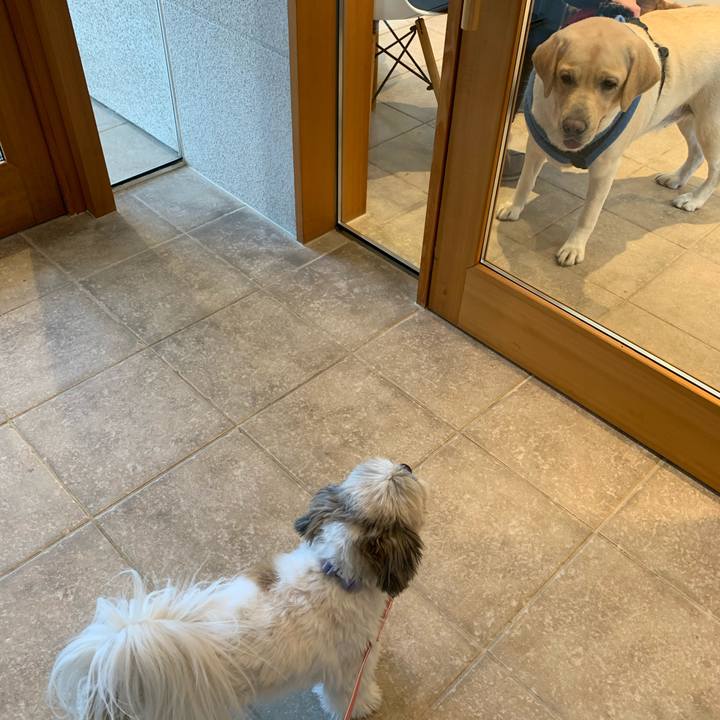 306d5f3e 126b 4a36 a327 f0e18ae6cf62 1580967190459