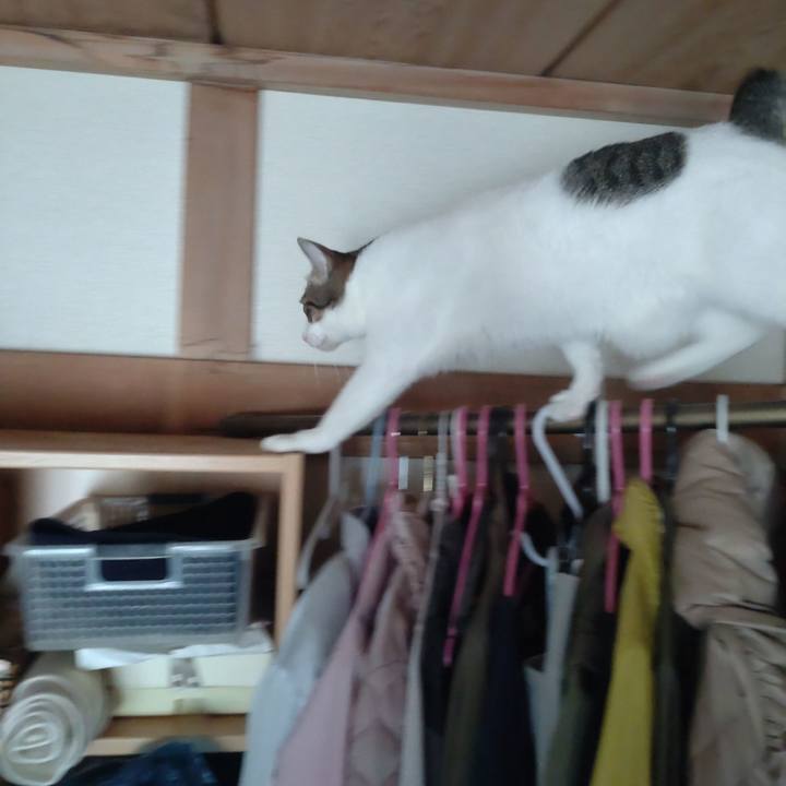 306da534 1e7f 4042 87b5 039a83dce234 1726634589436