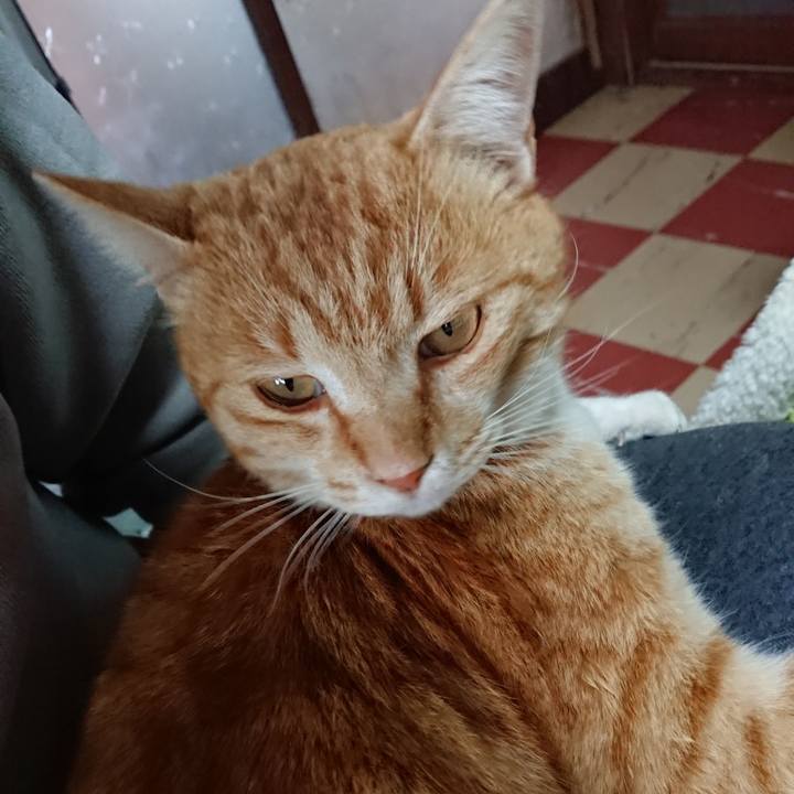 306dc277 6294 4405 ae9b 5d422e08ffd3 1586670305281