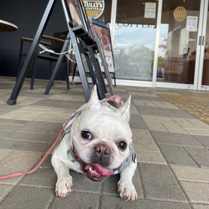 306dd48c b4d0 41b1 83b6 403f8a724a83 1759549878264