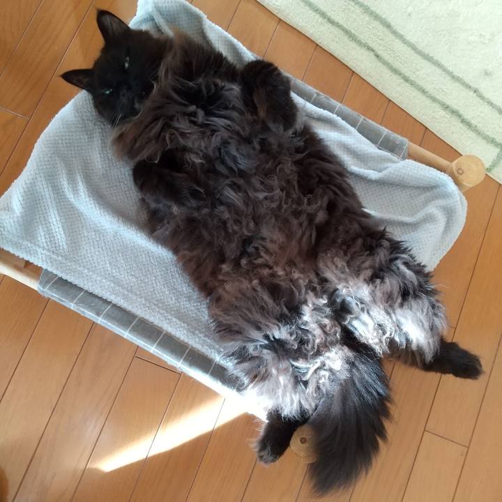 306dd7a0 91f2 4a7a a4cc bc735ddcd86a 1705363532462