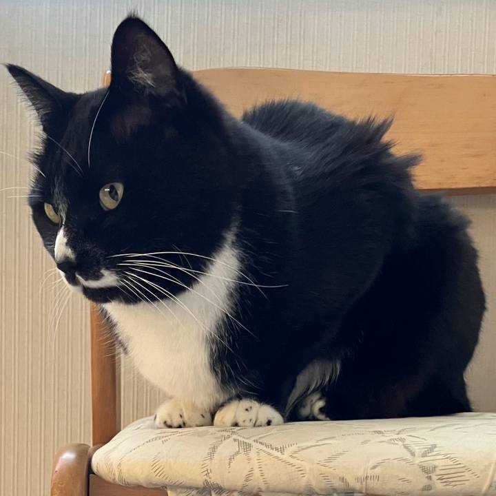 306e04cc cd04 447f 832d 30da95967ba3 1746077990919