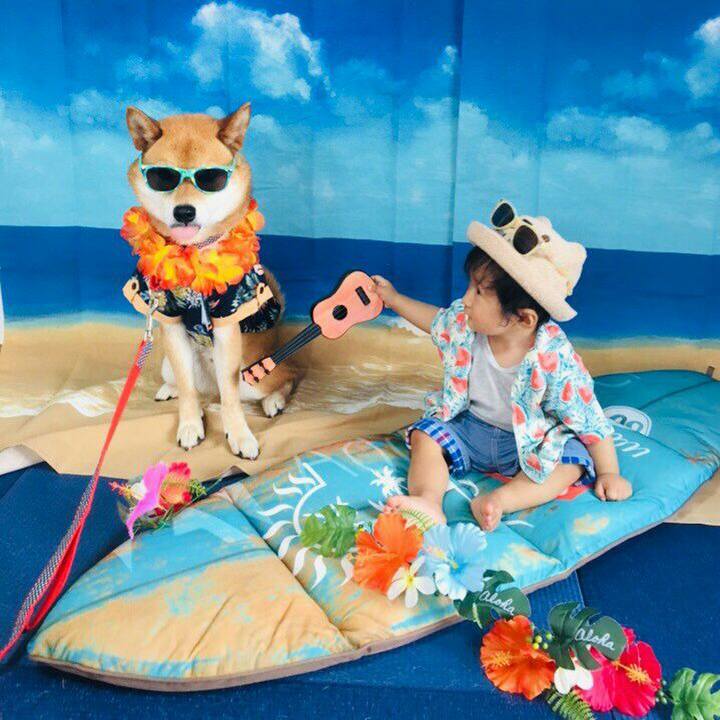 306e2fb2 524b 448c 8e98 3e06b099e418 1561457242330