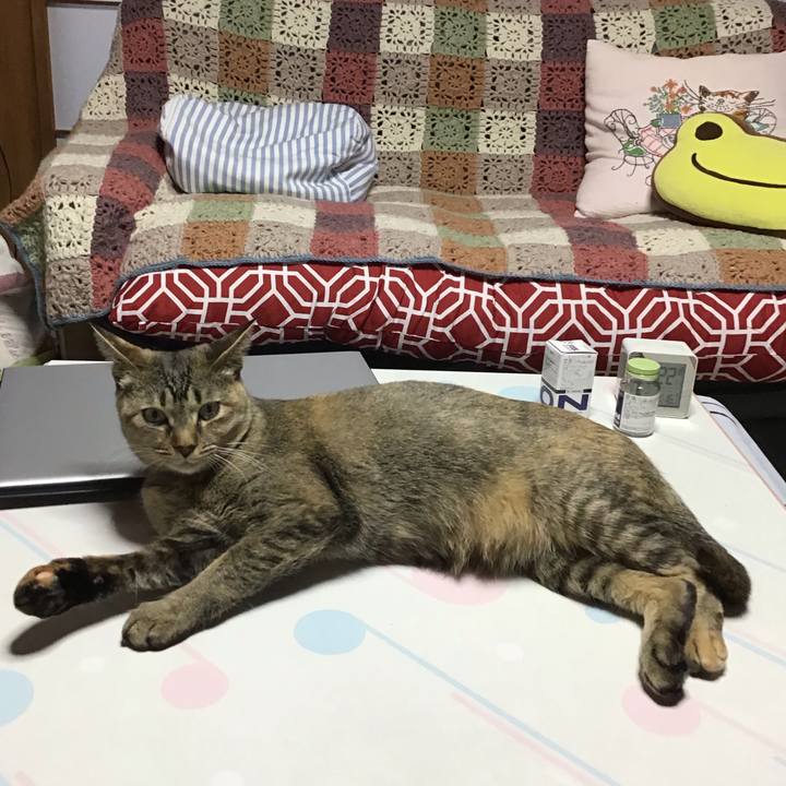 306e4b59 923f 4db2 8063 11ad454ab665 1582706687222