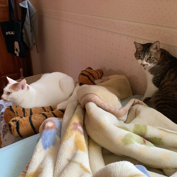 306e6000 b4ac 44f7 bc60 ec7661b013da 1622406471879