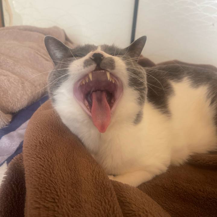 306e7608 f6d1 48f4 a657 220e527594d4 1712711169983