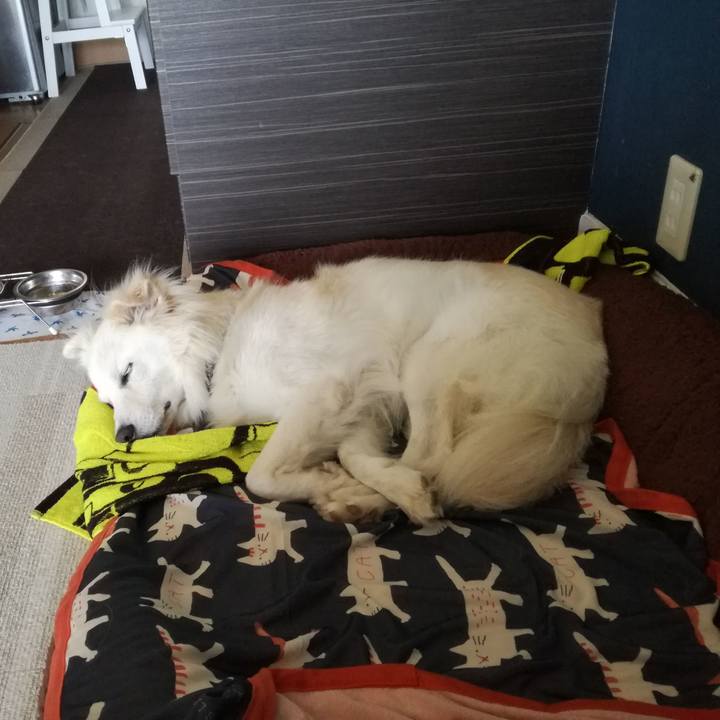 306e8563 2099 4562 86b5 594198377895 1535176649878