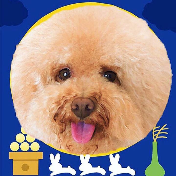 306e9b15 59c3 426c 8495 c52e7bde27c1 1537763889014