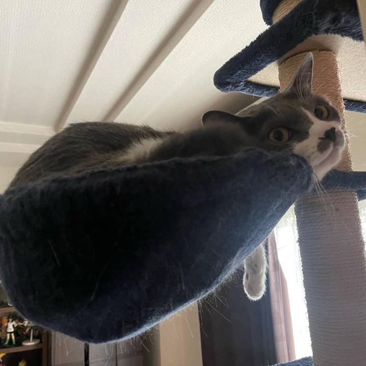 306eaa51 48c7 416b be8e 7ecb6d39456a 1631075381540