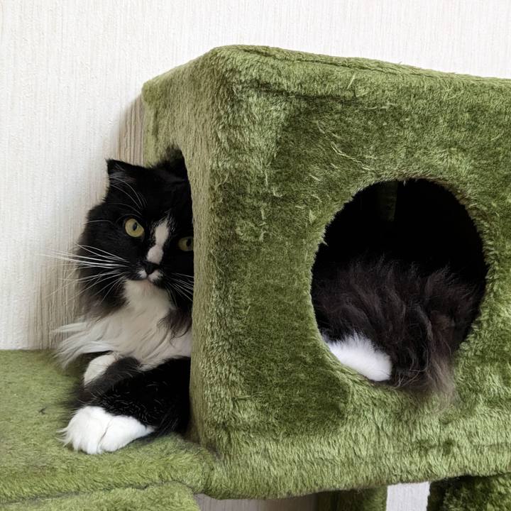 306eaf2b c2f7 4da7 b930 bc6af6acacba 1688463951693