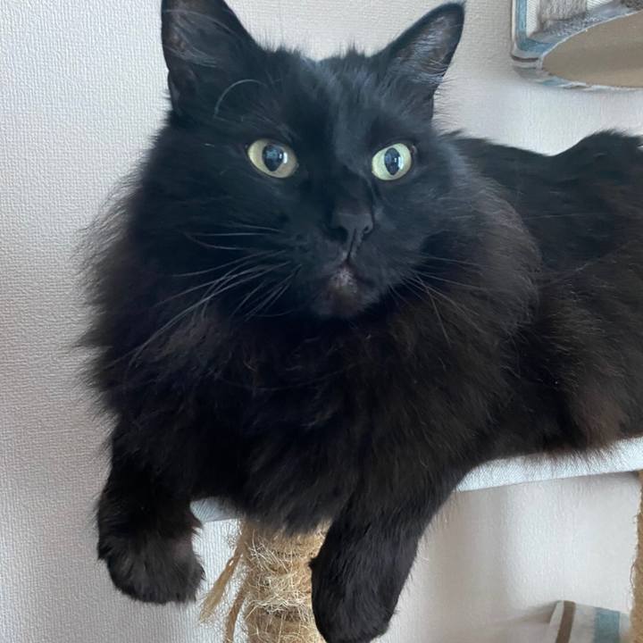 306eb21e 8e5a 41d0 a2ee 7273c5e6359d 1580823449303