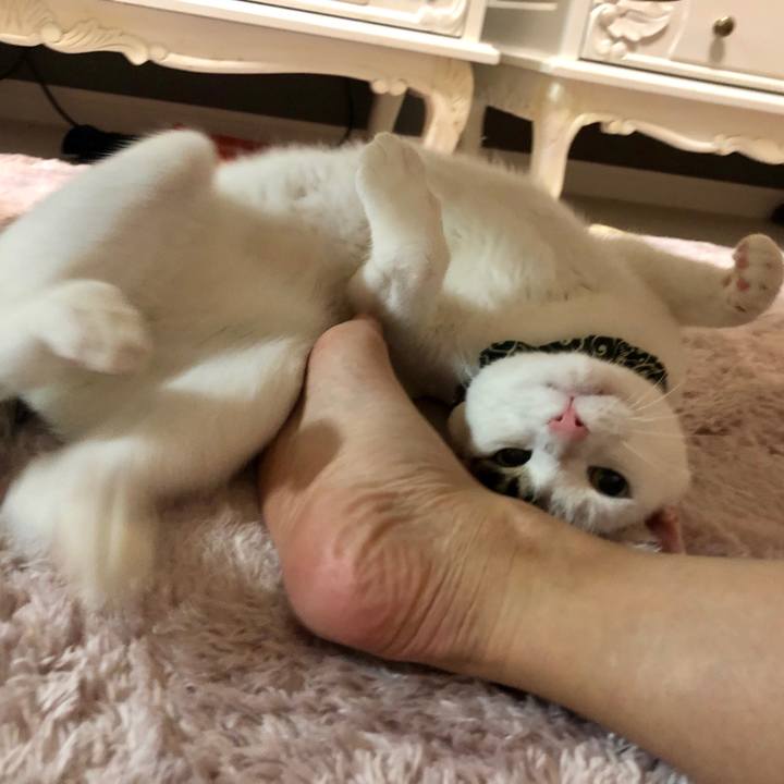 306ece87 c73d 4237 b736 42c0654bf5f4 1574233466473