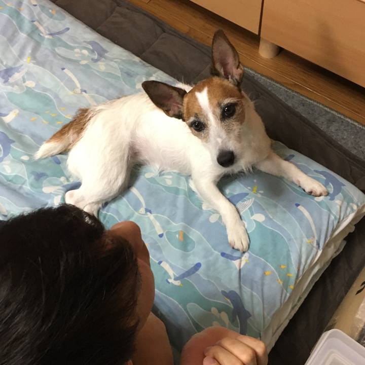 306ed69d 6eb7 478b 95c0 35b5ec164abf 1561863627242