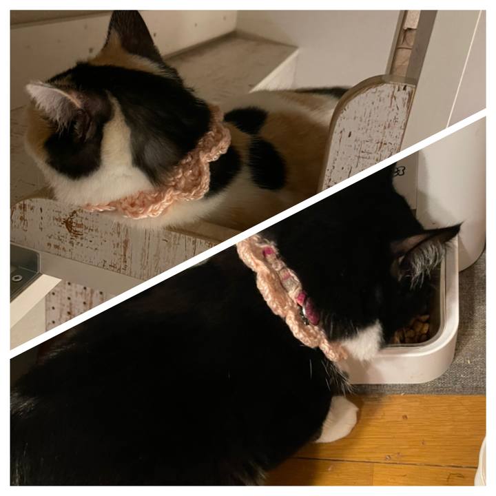 306ee95d 59ff 4f09 9f20 ee1e4fae0244 1667346911936