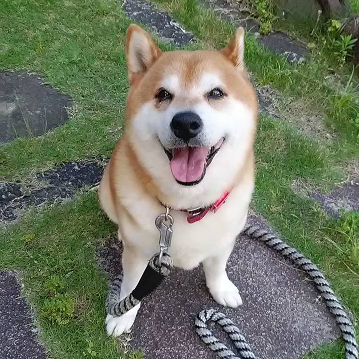 306f1d96 c0df 41cd 9c72 1bda173cd170 1688508831159