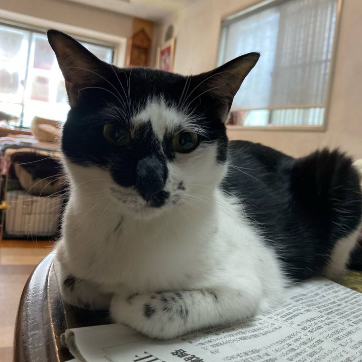 306f2a44 9393 49c3 8705 dca606e46b5c 1693617093578