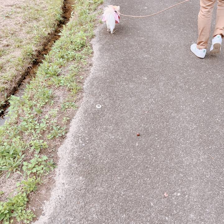 306f41cf b8aa 4890 8ba3 e8a1077356eb 1665903149133