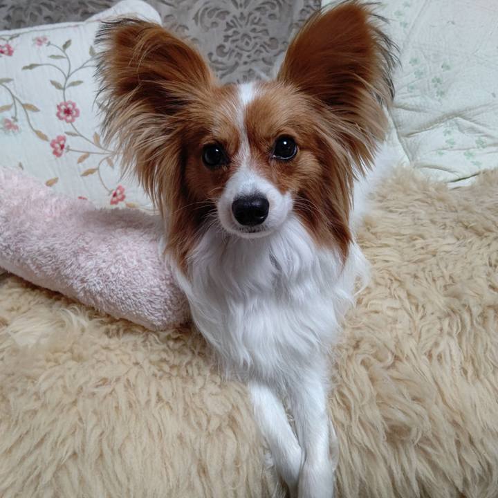 306f420d fa90 4fe0 958d 18d7d45ca79c 1648042597406