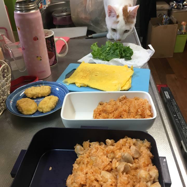 306f8009 28bd 4de6 90fd 8c9ab45252ac 1527573349924