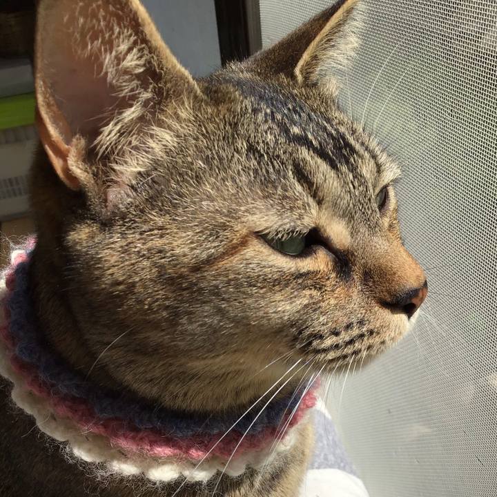 306fa04b bd2b 429c b57a 01991f826cd6 1619833361752