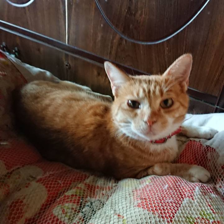 306fb33a b673 4957 ae3b 72bacad740d3 1570926444658