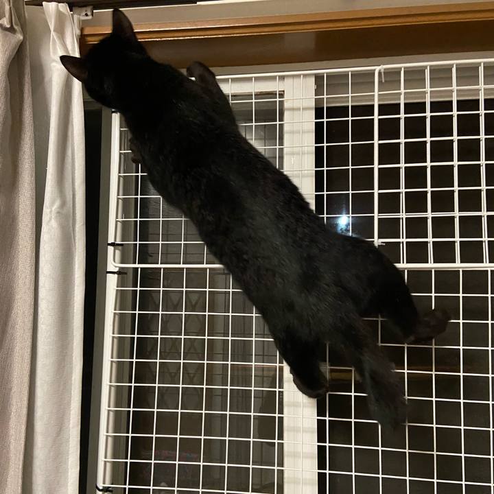 306fda6e 9278 4a7e 84b9 8d125d2f60e1 1623065775316